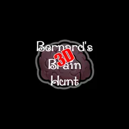 Bernards 3D Brain Hunt